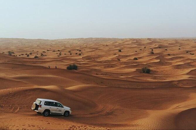 Private Desert Safari with Quad Bike Tours Jeddah - Why This Tour Works for You