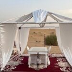 Private Dinner in the Heart of the Desert with Entertainment show - Authentic Traveler Insights