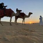 Private Doha City & Desert Safari Combo  Full-Day Adventure - Who Should Consider This Tour?