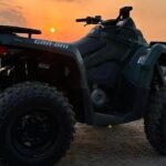 Private-Doha Horse Ride/Camel Ride/Quad Bike All Inclusive Tour - What to Expect From This Desert Tour