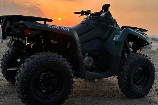 Private-Doha Horse Ride/Camel Ride/Quad Bike All Inclusive Tour - What to Expect From This Desert Tour