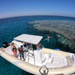 Private Dolphin Watching And Snorkeling Tour - The detailed itinerary: what makes each stop special