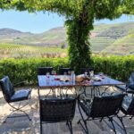 Private Douro Luxury,Private Boat,Wine,visits, 5 Stars Lunch - A Closer Look at the Experience
