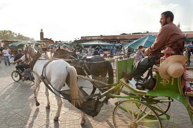 Private Driver for a full day in Marrakech - The Value of a Full Day