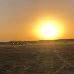 Private Dubai City Tour and Dinner in the Desert Safari - Afternoon: Markets, Modern Icons, and Cultural Sites