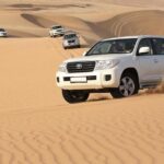 PRIVATE Dubai Desert Safari with BBQ Dinner and Shows - An In-Depth Look at the Dubai Desert Safari Experience