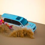 Private Dune Bashing in Abu Dhabi - Morning Desert Safari - What Makes This Tour Stand Out?
