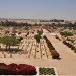 Private El-Alamein WWII Memorial Day Tour From Cairo - Why Choose This Tour?