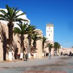 Private Essaouira Day Trip From Agadir - Transportation and Comfort