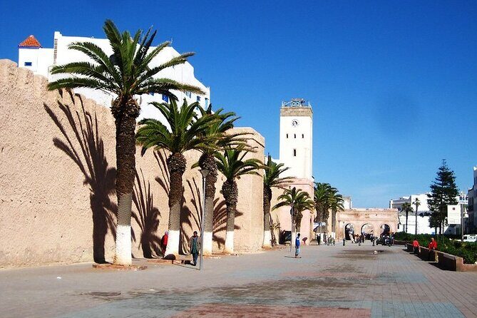 Private Essaouira Day Trip From Agadir - Transportation and Comfort