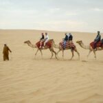 Private Evening Desert Safari Dubai Tour - Detailed Breakdown of the Itinerary