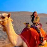 Private Evening Desert Safari with Camel Ride, SandBoard & BBQ - Pickup & Off-Road Drive