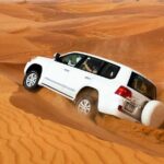 Private Evening Red Dunes Desert Safari - Who Should Book This Experience?