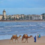 Private excursion to Essaouira, departure from Marrakech - The Itinerary in Detail