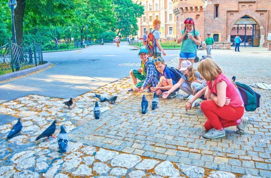 Private Family Tour of Krakow Old Town with Cruise Tickets - What Makes This Tour Stand Out?