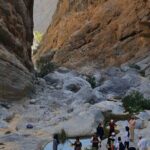 Private Fanja Souq - Fanja Old Village - Wadi Qari Tour - An In-Depth Look at the Tour Experience