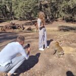 Private Fes to middle atlas with hiking in cedar forest - The Itinerary: What to Expect on This Morocco Adventure