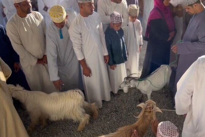 Private Friday Cattle Market-Nizwa and Jebel Akhdar-Full-Day Tour - Why This Tour Offers Great Value