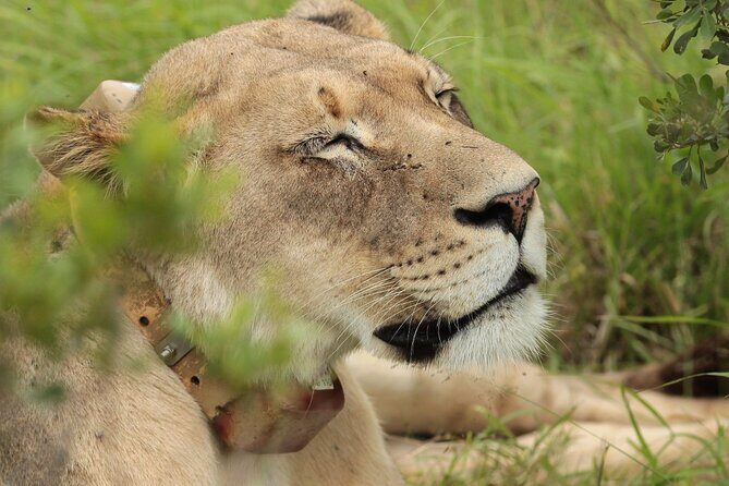 Private Full-Day Addo Elephant National Park - Detailed Breakdown of the Itinerary