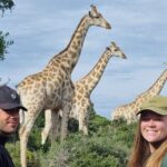 Private Full-Day Addo Elephant Park & Giraffe Walk - Final Thoughts