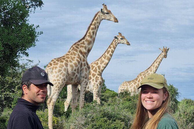 Private Full-Day Addo Elephant Park & Giraffe Walk - Final Thoughts