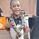 Private Full-Day Cultural Tour in Cotonou Ganvie and Ouidah - FAQ