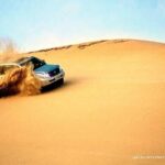 Private Full Day Desert Safari - Authenticity and Quality of the Experience