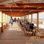 Private Full Day Desert Safari Dinner and Camel Ride in Doha - Who Is This Tour Best Suited For?