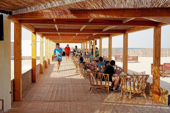 Private Full Day Desert Safari Dinner and Camel Ride in Doha - Who Is This Tour Best Suited For?