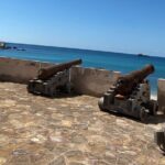 Private Full-Day East Oman Tour from Salalah with Lunch - Who is This Tour Best For?