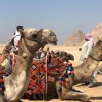 Private Full-Day Giza Pramids, Sphinx, Egyptian Museum& Bazaars From Cairo - Practical details and considerations