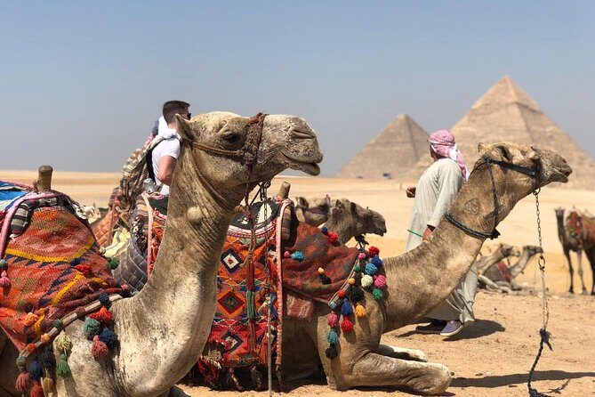 Private Full-Day Giza Pramids, Sphinx, Egyptian Museum& Bazaars From Cairo - Practical details and considerations