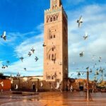 Private Full Day Guided Tour in Marrakech City - Transport and Comfort