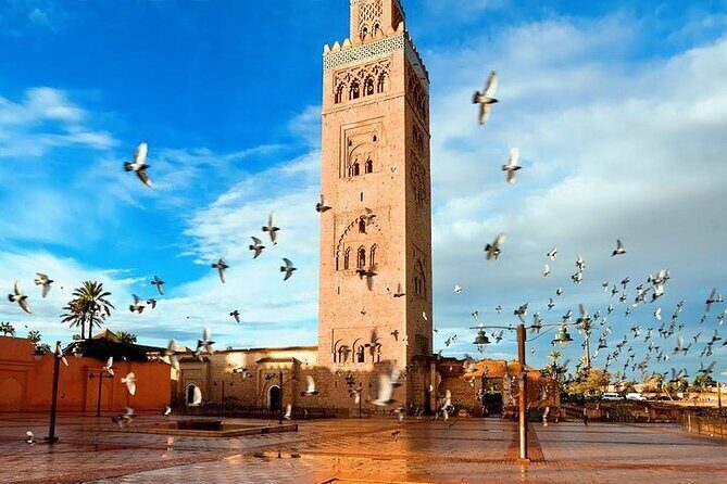 Private Full Day Guided Tour in Marrakech City - Transport and Comfort