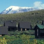 Private Full Day Hiking Experience to Marangu Route - Why Choose This Experience?