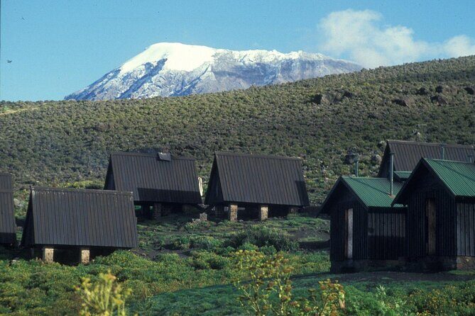 Private Full Day Hiking Experience to Marangu Route - Why Choose This Experience?