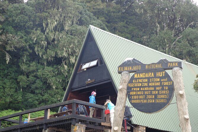 Private Full-Day Hiking Tour in Mount Kilimanjaro - Authentic Experiences and Authentic Guides