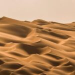 Private Full Day Liwa Desert Safari Tour with Lunch From Dubai - Who Is This Tour Perfect For?