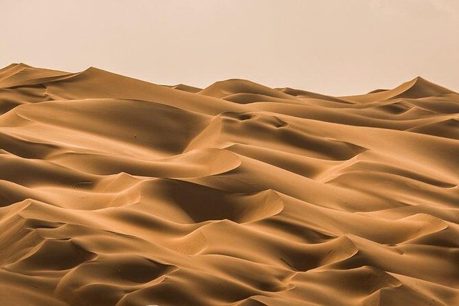 Private Full Day Liwa Desert Safari Tour with Lunch From Dubai - Who Is This Tour Perfect For?