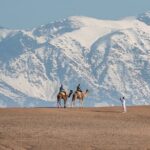 Private Full Day Tour in Agafay Desert and Atlas Mountains - Exploring the Itinerary in Detail