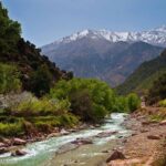 Private Full-Day Tour Ourika Valley from Marrakech with Lunch - Authentic Experiences Based on Reviews