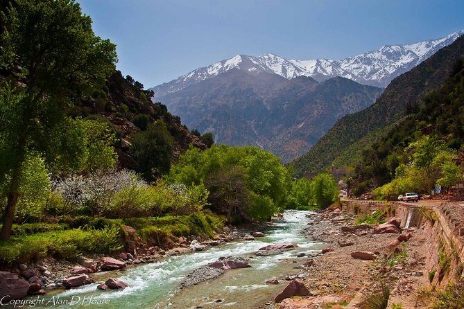 Private Full-Day Tour Ourika Valley from Marrakech with Lunch - Authentic Experiences Based on Reviews