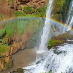 Private Full Day Tour Ouzoud Waterfalls from Marrakech - Exploring the Village and Olive Groves