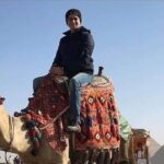 Private Full Day Tour To Cairo from Port Said Port & Hotels - Why This Tour Stands Out