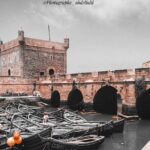 Private Full Day Tour to Essaouira from Marrakesh - Exploring the Medina and Art Scene