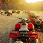 Private Full-Day Tour to West and East Bank of Luxor - The Transport and Overall Experience