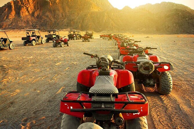 Private Full-Day Tour to West and East Bank of Luxor - The Transport and Overall Experience