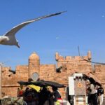 Private Full Day Trip Essaouira from Marrakech - Why Choose This Tour?