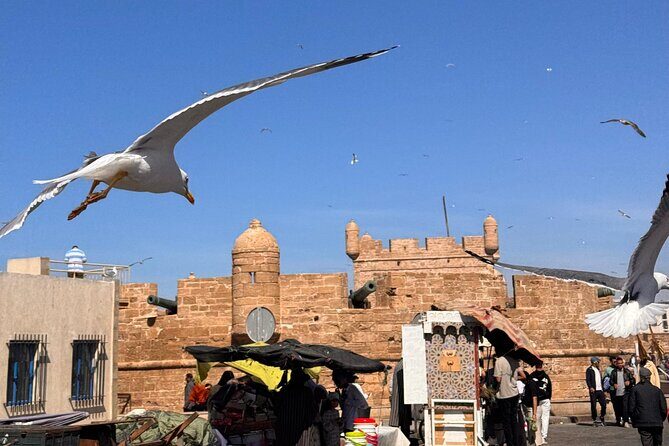 Private Full Day Trip Essaouira from Marrakech - Why Choose This Tour?