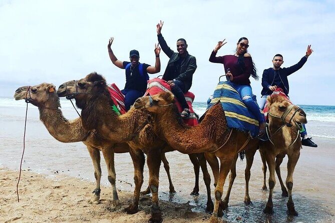 Private Full Day Trip of Tangier - Exploring the Medina and Local Flavors